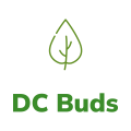 DC Buds
